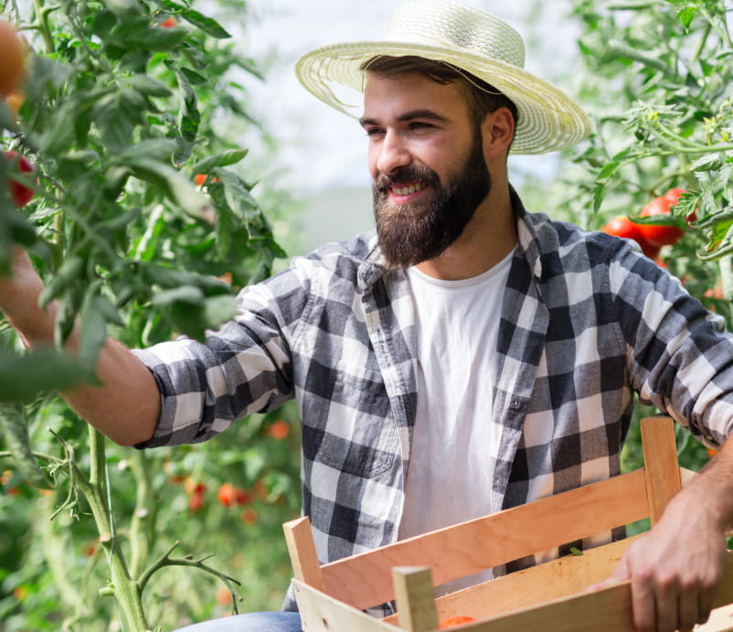 gardener